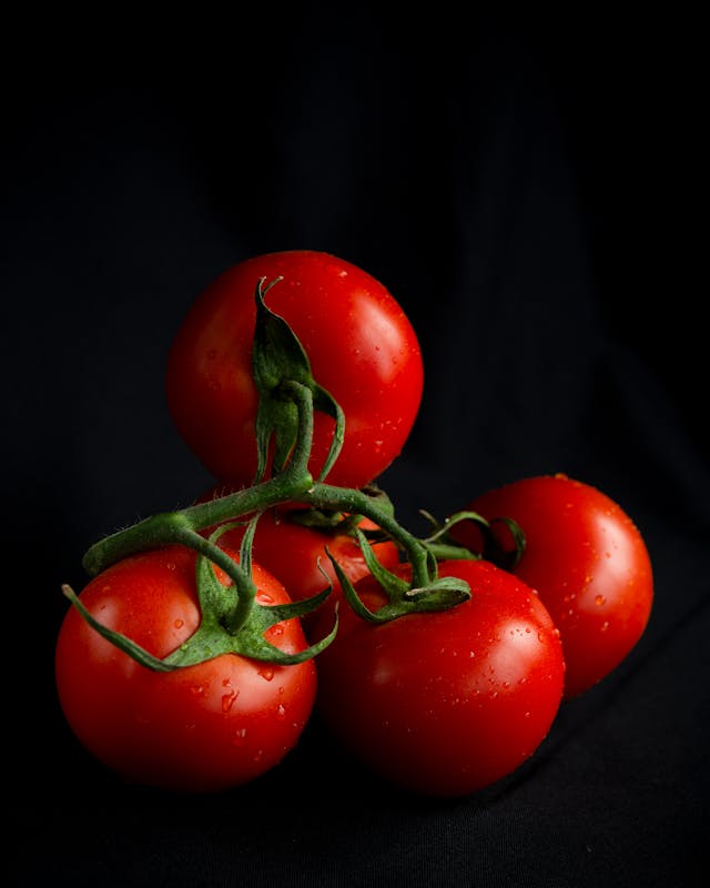 Grappe de tomates avec gouttes d'eau sur fond noir 
