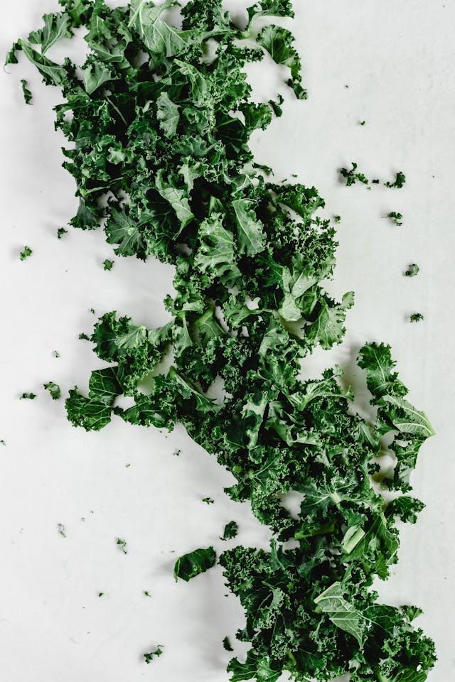 Feuilles de chou kale sur fond blanc