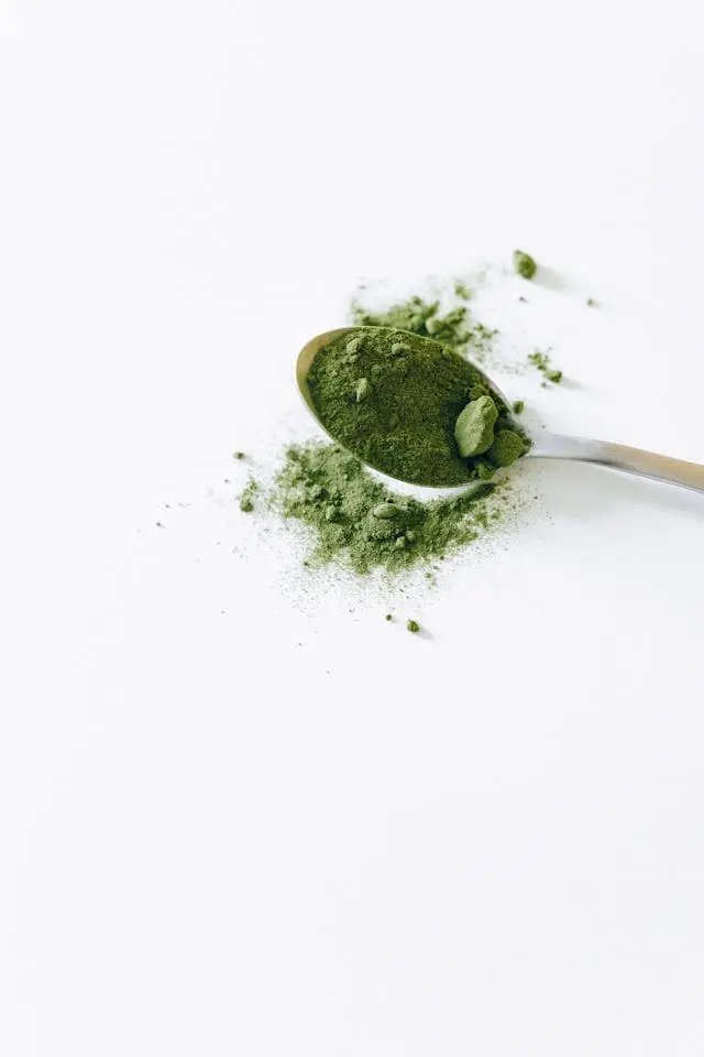 Spiruline verte en poudre dans  cuillère argentée et à côté sur fond gris pâle
